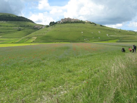 Castelluccio lontana