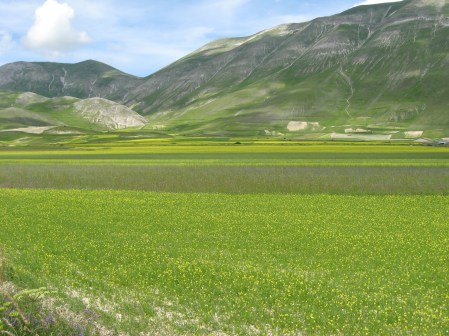 Piana castelluccio